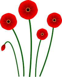 Poppy image.png